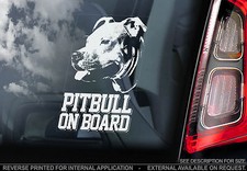 Pitbull - Car Window Sticker -