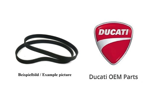 Bimota oem db1 750 - oem, cinghie