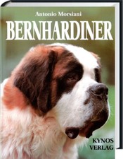 BERNHARDINER Antonio Morsiani