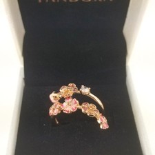 Anello aperto nuovo 100%