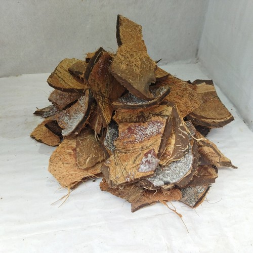 Pezzi guscio cocco - cocco, bbq