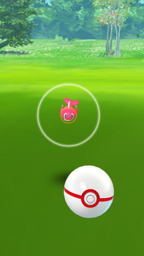 Pokemon nuova uscita regionale - nuova,