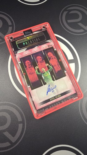 Pepe reina liverpool - reina,