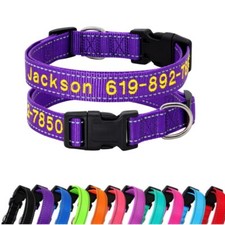Collare cane personalizzato in