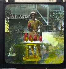 Antique Magic Lantern Slides