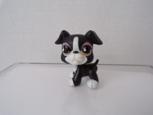 Littlest pet - littlest,