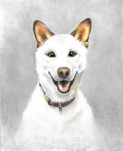 Dipinto ritratto cane - ✤,
