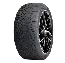 MOMO TIRES W-20 EUROPA NORTH