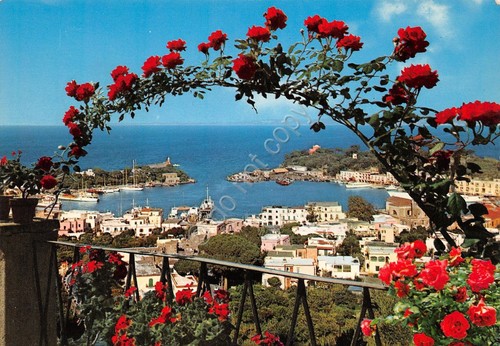 Cartolina ischia porto - cartolina, d'