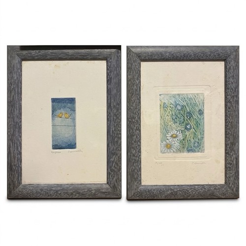Coppia acqueforti mannelli - coppia,