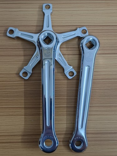 Guarnitura campagnolo nuovo - guarnitura,