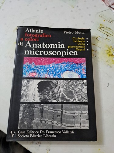 Atlante anatomia - atlante, di