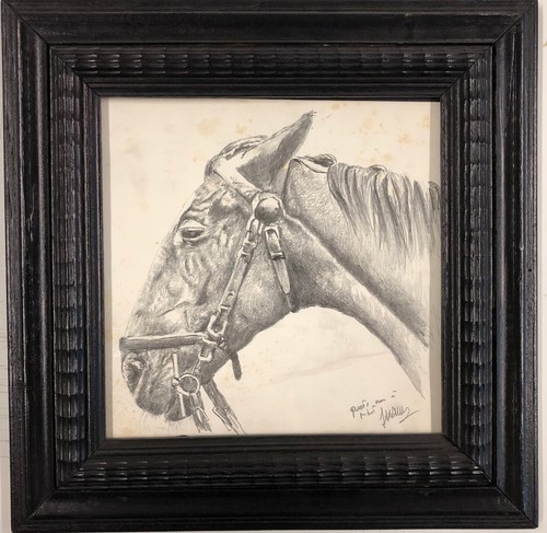 Vecchio disegno matita - disegno,