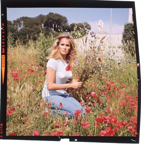 Ursula andress raccolta fiori - andress,