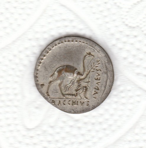 Moneta romana denario - romana,