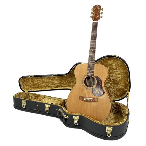 Chitarra elettrica acustica