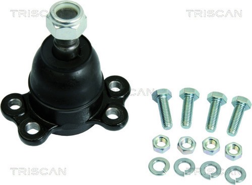 Triscan giunto supporto - di,