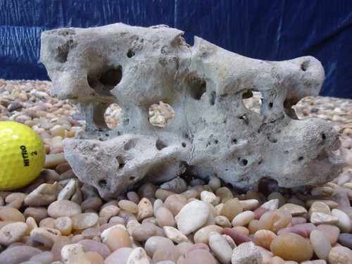 Texas holey rock - 03#, texas/tn