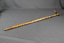 Bastone da passeggio bastone