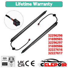 2x Puntoni Gas Portellone