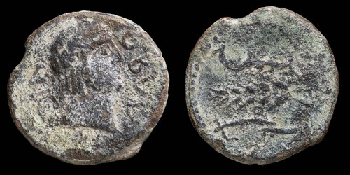 Antica spagna obulco - -,