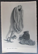 THE HARNESSES OF VICTORY