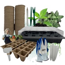 Serra da camera cassetta di