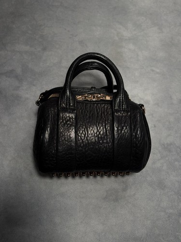 Alexander wang mini - alexander,