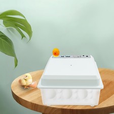 Incubatrice per uova 36 uova
