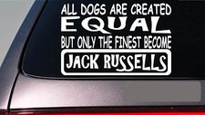 Jack Russells all dogs equal