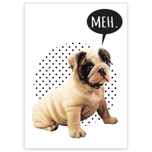 Adesivo regalo bulldog meh - adesivo,