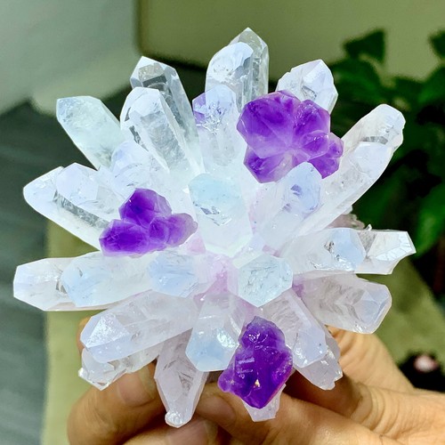 327g new find bianco - bianco, viola