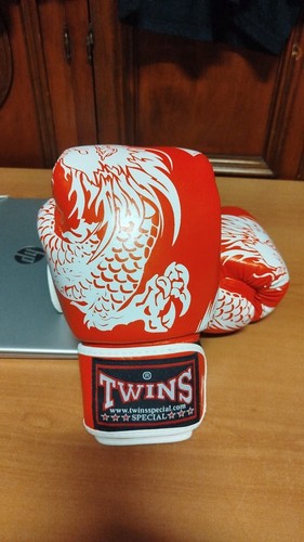 Twins special muay thai boxing - thai,