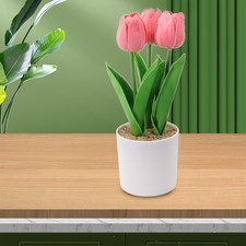 Accessori Fiori Artificiali