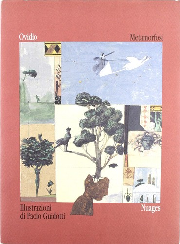 Paolo guidotti nasone - paolo,