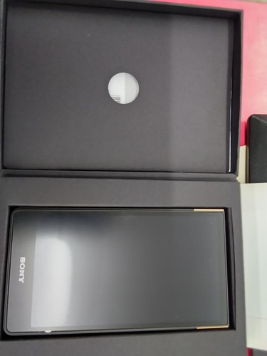 Sony zx707 lettore - sony, nw-zx707