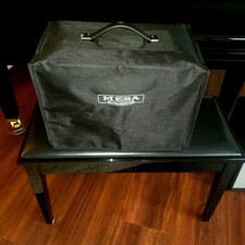 Armadio raddrizzatore Mesa/Boogie 1x10 Bronco