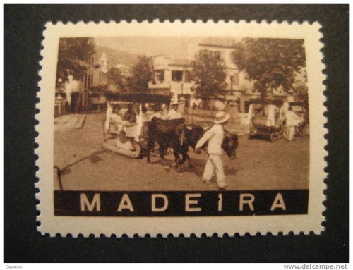 Madeira portugal toro tori - portugal,