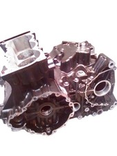 carter motore crankcase