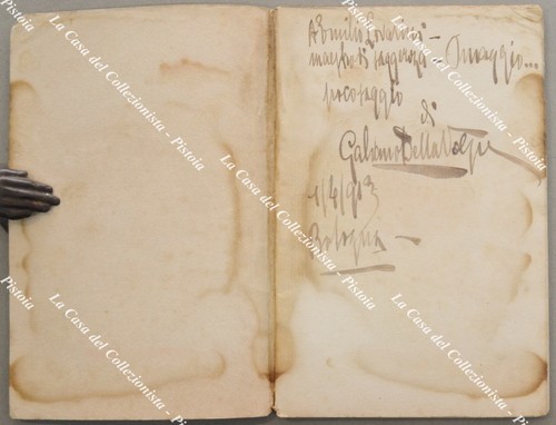 Letteratura zanelli g - -,