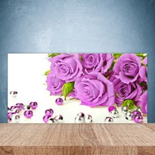 Paraschizzi da Cucina 100x50