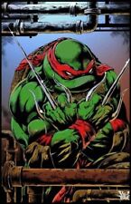 POSTER LOCANDINA QUADRO ADESIVO - LE TARTARUGHE NINJA TURTLES - IDEA REGALO