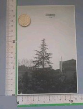 24/35/41)Foto Militari Ww1