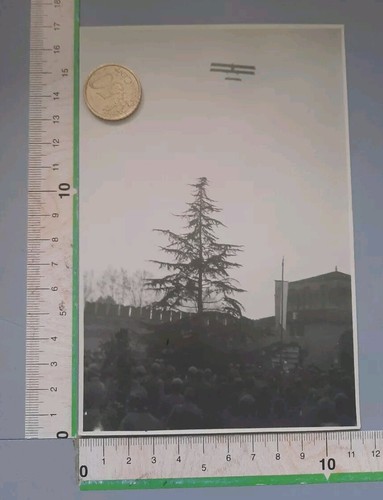 Foto militari ww1 - 24/35/41)foto,