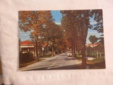 Vecchia foto cartolina d epoca di Azzano decimo viale strada alberi abitazioni