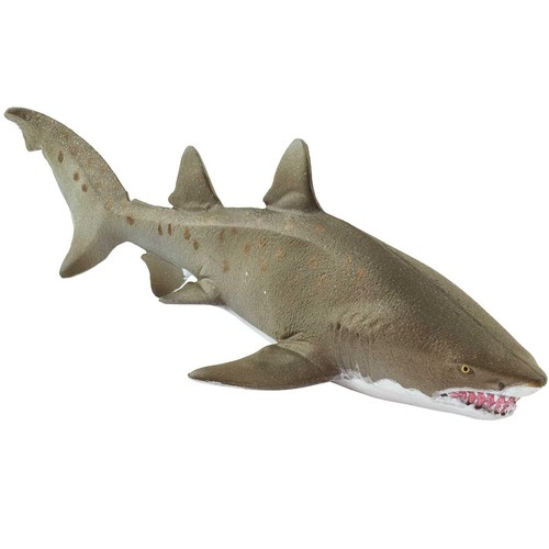Safari ltd statuina squalo - ltd.,