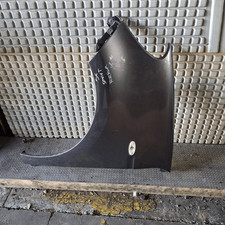 A45388105009999 Parafango ant