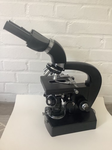 Carl zeiss jena - zeiss, microscopio
