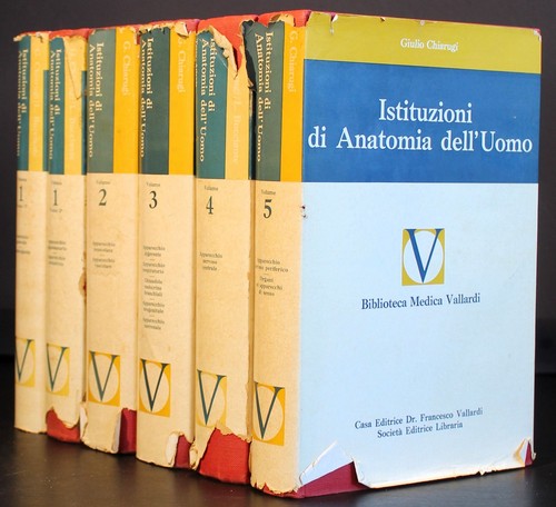 Istituzioni anatomia - di,