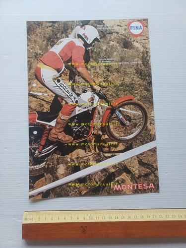 Montesa fina marchi - marchi, campione